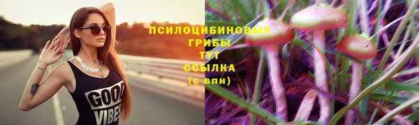 альфа пвп Медногорск