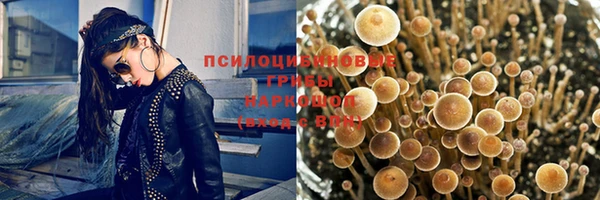 ALPHA PVP Медвежьегорск