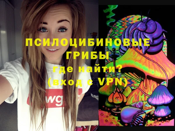 альфа пвп Медногорск