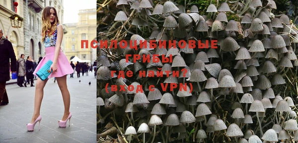 ГАЛЛЮЦИНОГЕННЫЕ ГРИБЫ Касимов