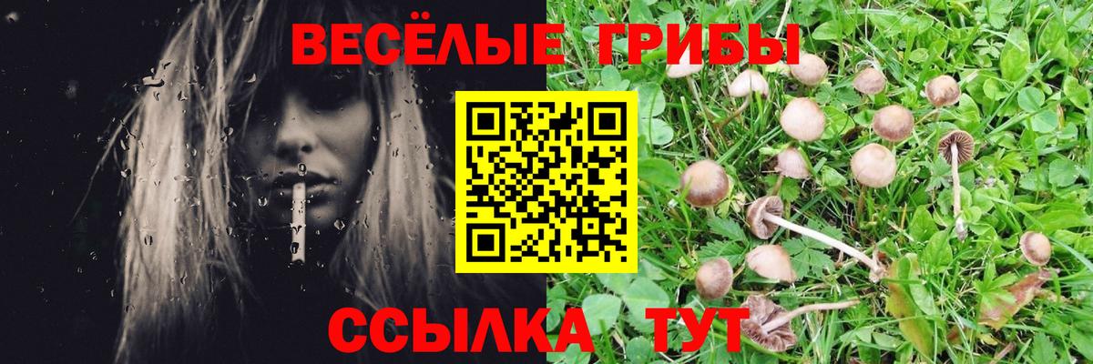 Галлюциногенные грибы мухоморы Верхняя Салда
