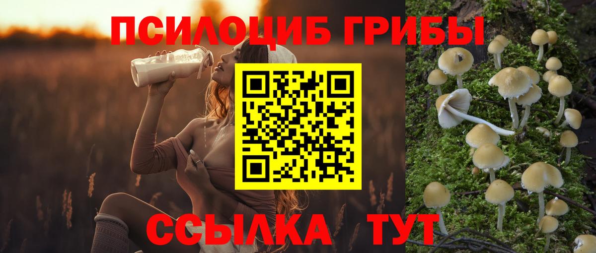 Галлюциногенные грибы прущие грибы Верхняя Салда